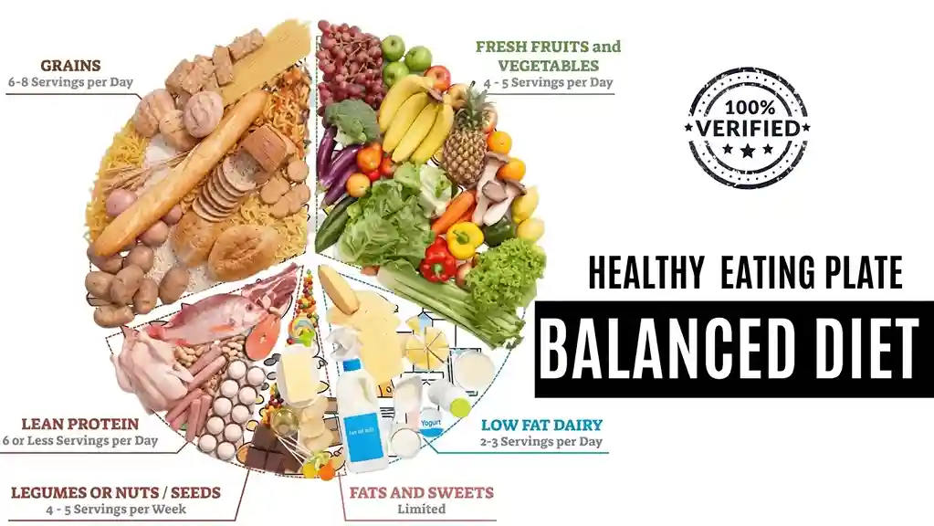 key-components-of-a-balanced-diet