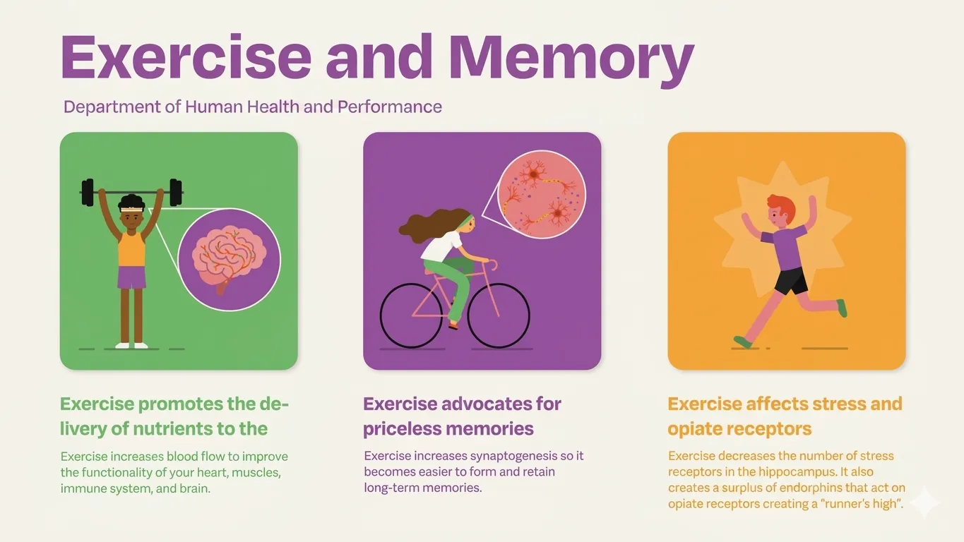 How Exercise Affects Your Brain: Science-Backed Benefits You Should Know